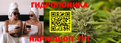 стаф Севастополь