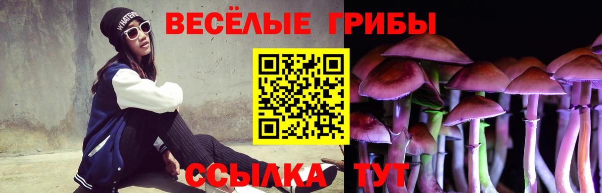 Галлюциногенные грибы MAGIC MUSHROOMS  Галлюциногенные грибы мицелий  Вход с VPN  Сальск 