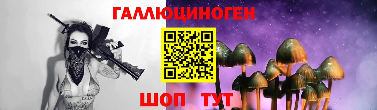 Гашиш Сальск